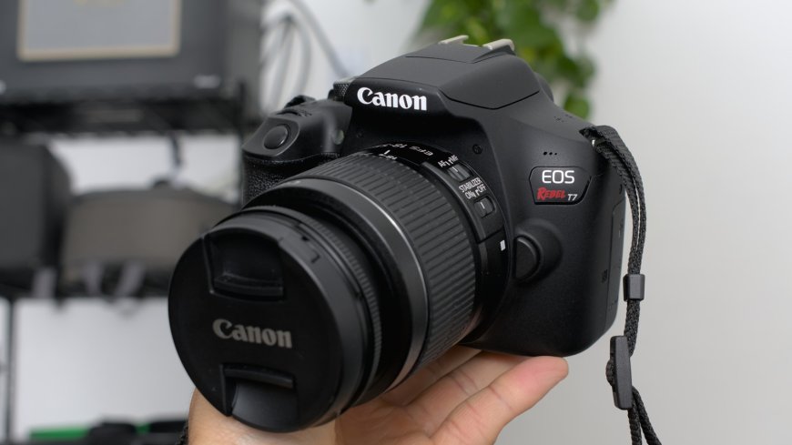 What Makes Canon The Most Popular Camera Brand?