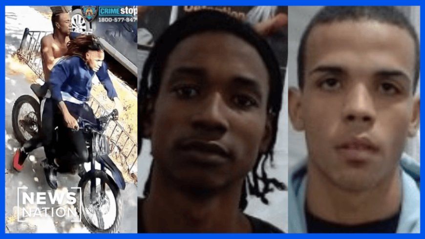 Suspects wanted for stabbing NYPD detective entered US illegally: DHS