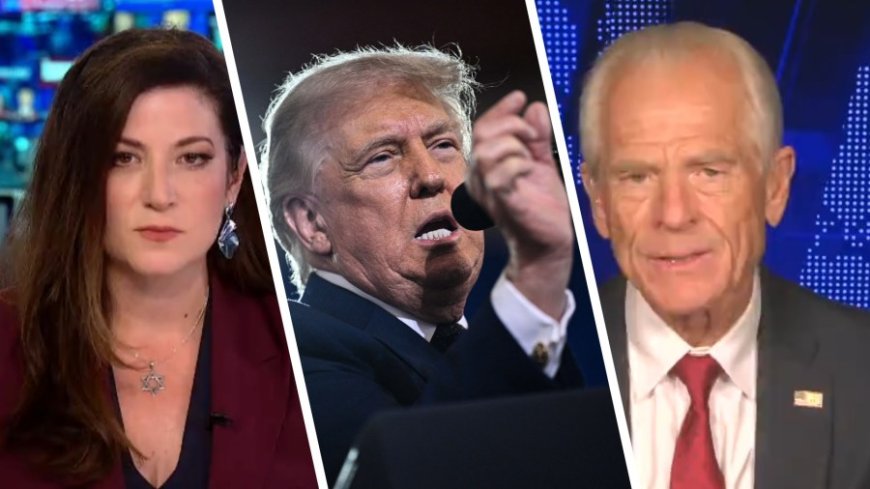 Peter Navarro says gas prices don't define Trump's economic record