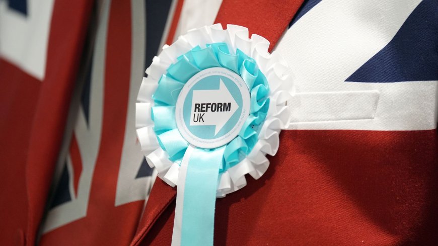 Reform UK inquiry clears own advisers over donations sting