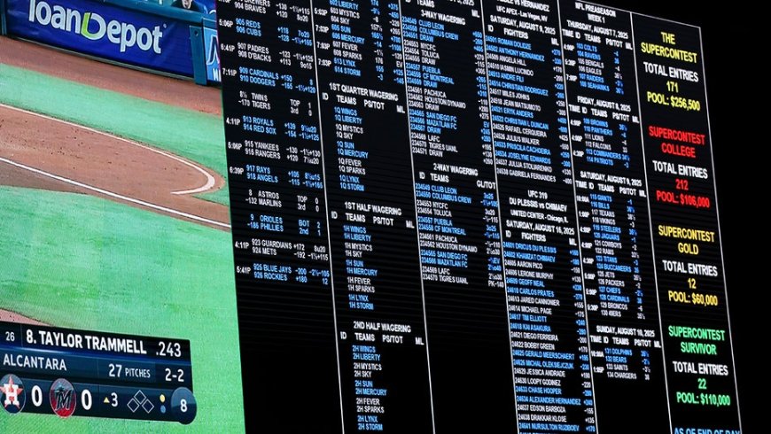 Michigan Sports Betting — Best Sportsbooks and Apps | Outkick
