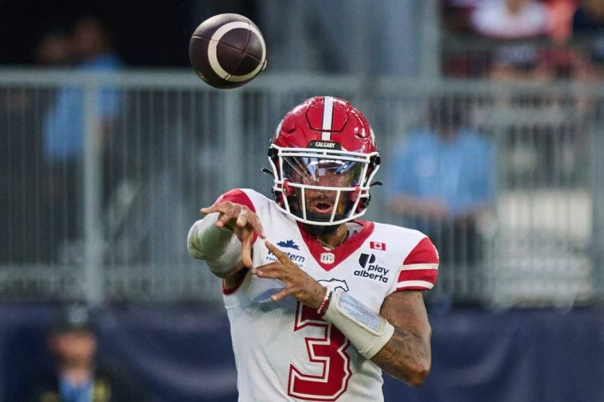 Stamps, Lions can clinch playoff berths with wins