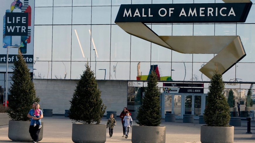 Planned gun attack on America's largest mall thwarted 'after teen bought assault rifle'