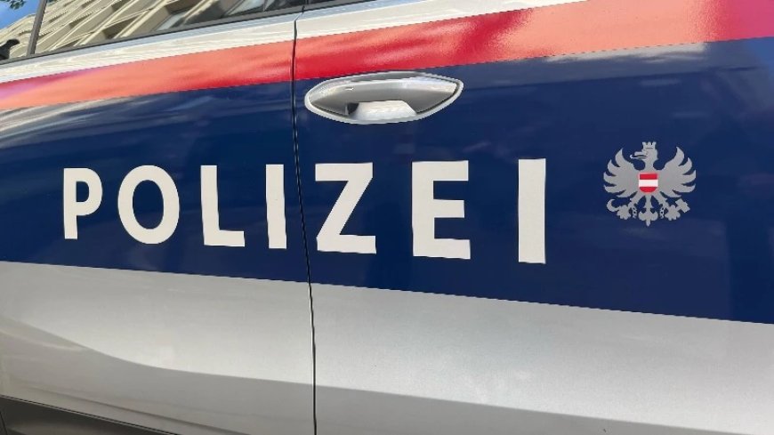 Suspect Wanted For Rape Of 85-Year-Old Woman In Austria