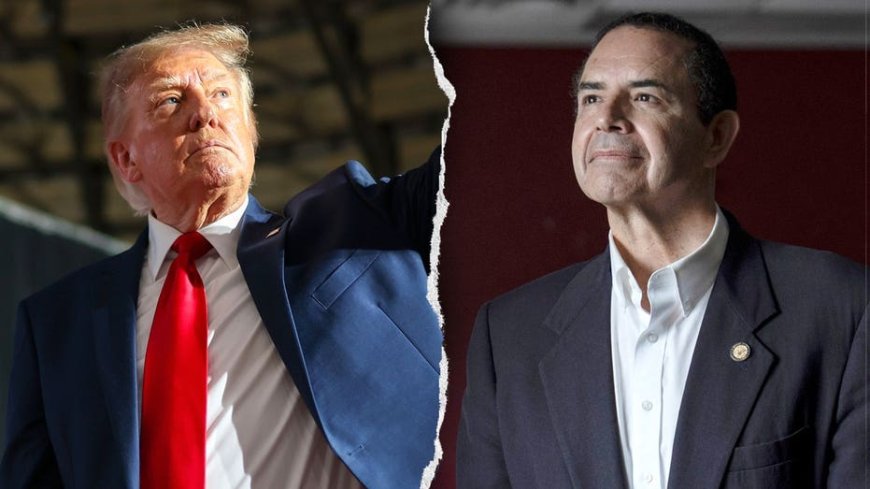 Trump calls Democrat he pardoned a 'loser' for not switching parties