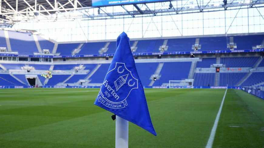 Premier League club up for sale two years after takeover
