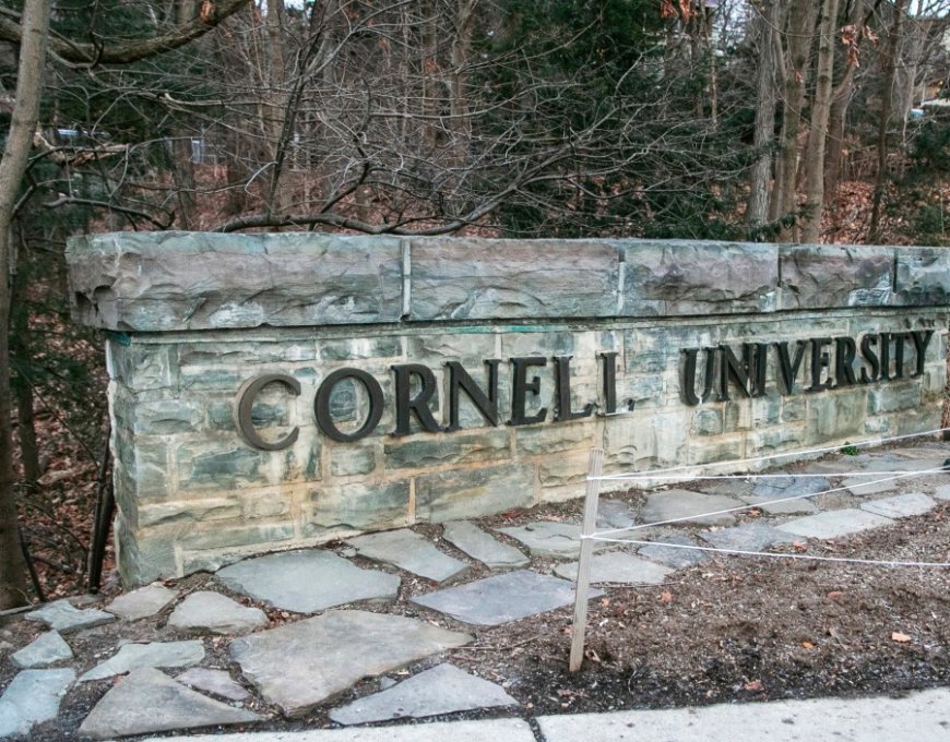 Texts offer look at days after alleged Cornell frat assault