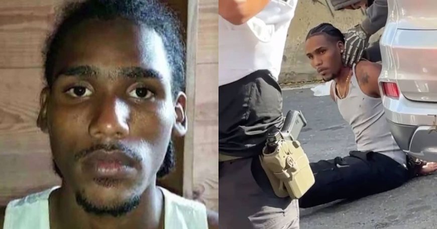 ICE: Illegal Alien Shot in NYC ‘Weaponized His Vehicle,’ Rammed Cars, Accelerated Toward Officers Before Shooting