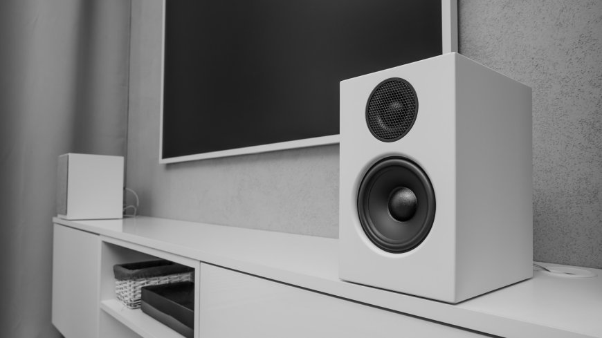 Can You Clean Speakers With A Lint Roller?