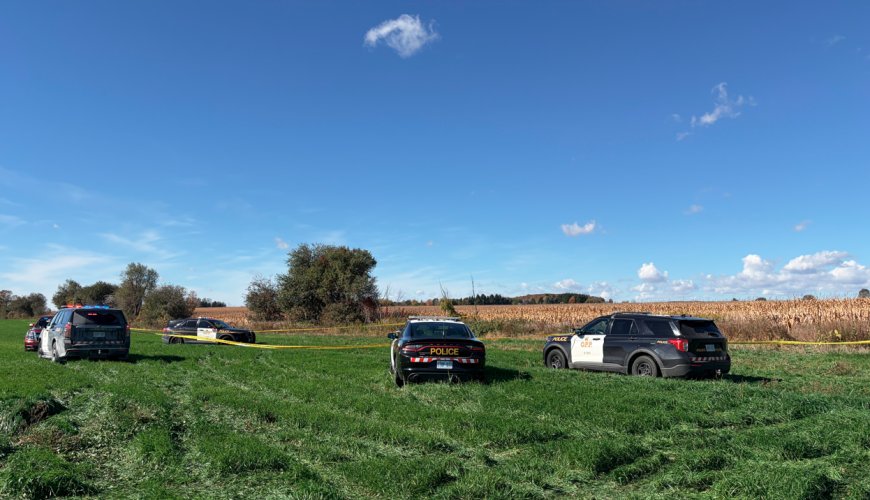 2 dead after plane crash, fire near Fergus, Ont.