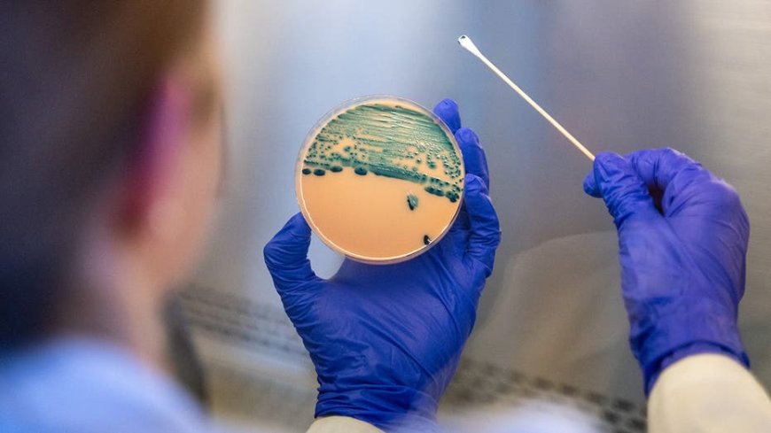 Stomach-turning sexually transmitted infection is on the rise, and standard medicines are failing