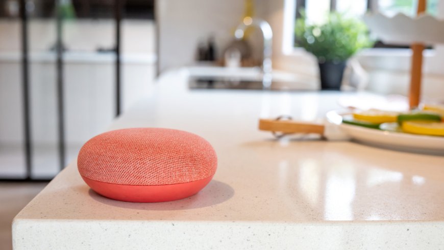 4 Google Home Devices That Work Without A Subscription