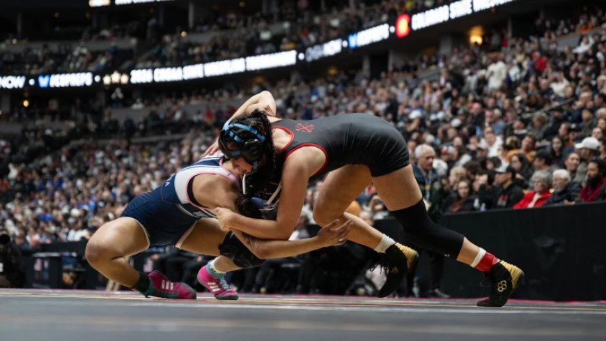 High School Wrestler Asks Supreme Court to Allow Her to Avoid Competing With ‘Transgender’ Boys