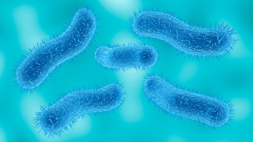 What is shigellosis? Stomach bug spreads during sex and is growing more resistant