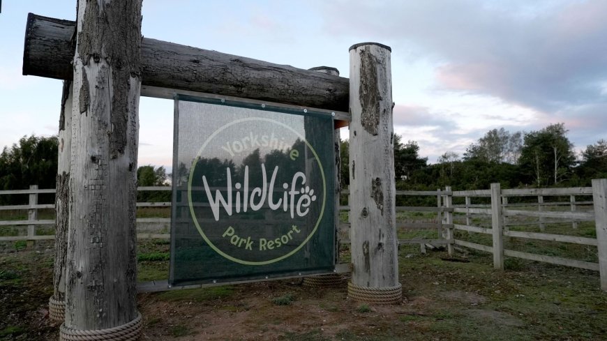 UK wildlife park set to reopen after man's death in tiger enclosure
