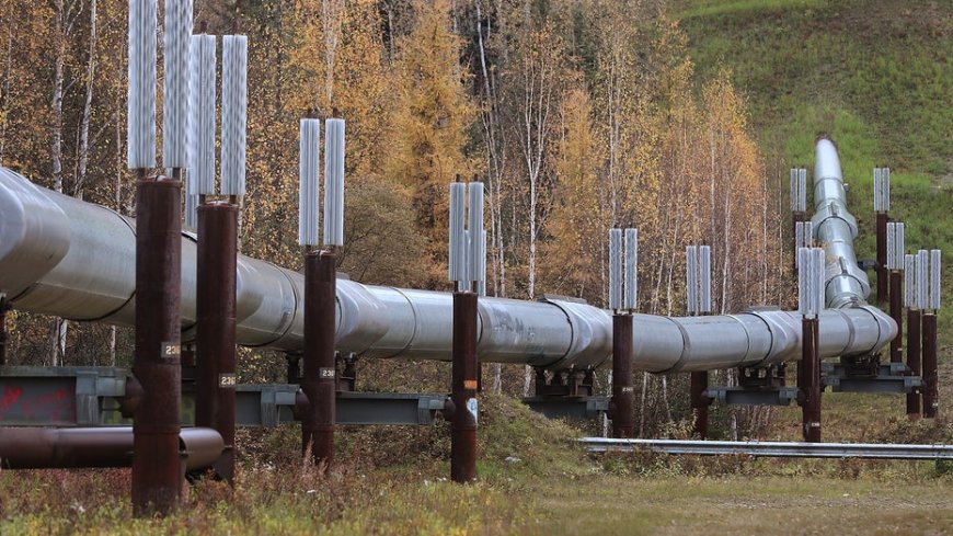 The Iran war didn't make your heating bill this high. Blue-state energy policy did
